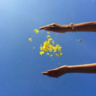 乐发彩票登录首页大厅