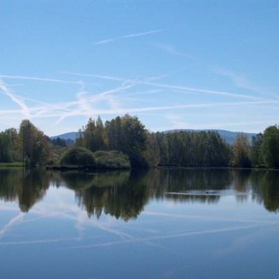 百人牛牛游戏手机app下载